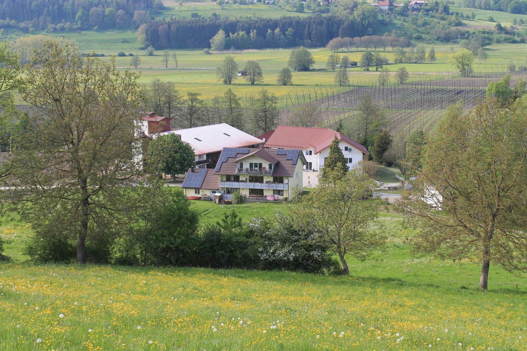 Ferienhof Hopfgaertle Mueller Bodnegg Exterior photo