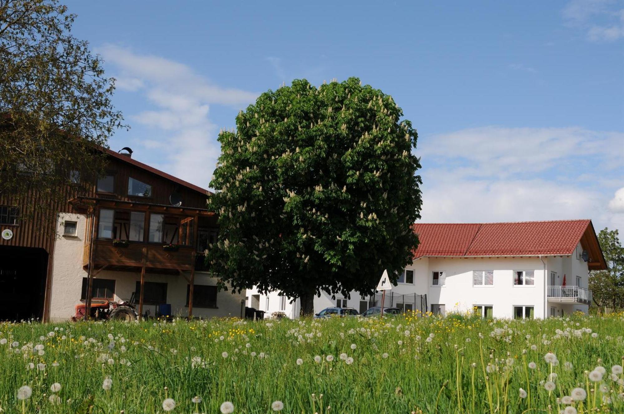 Ferienhof Hopfgaertle Mueller Bodnegg Exterior photo